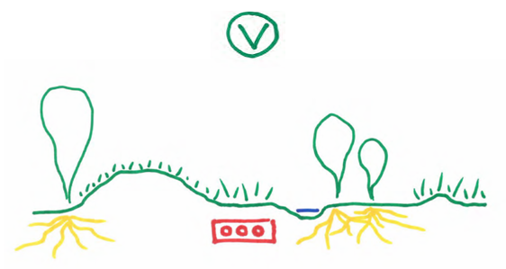 afbeelding binnen de regeling